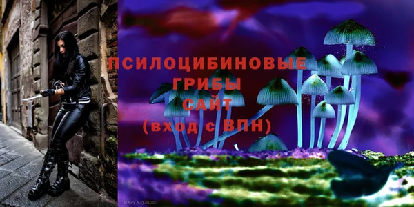 2c-b Абдулино