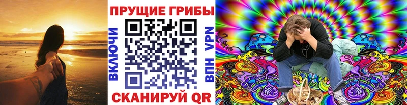 сколько стоит  Ефремов  mega ссылки  Галлюциногенные грибы прущие грибы 